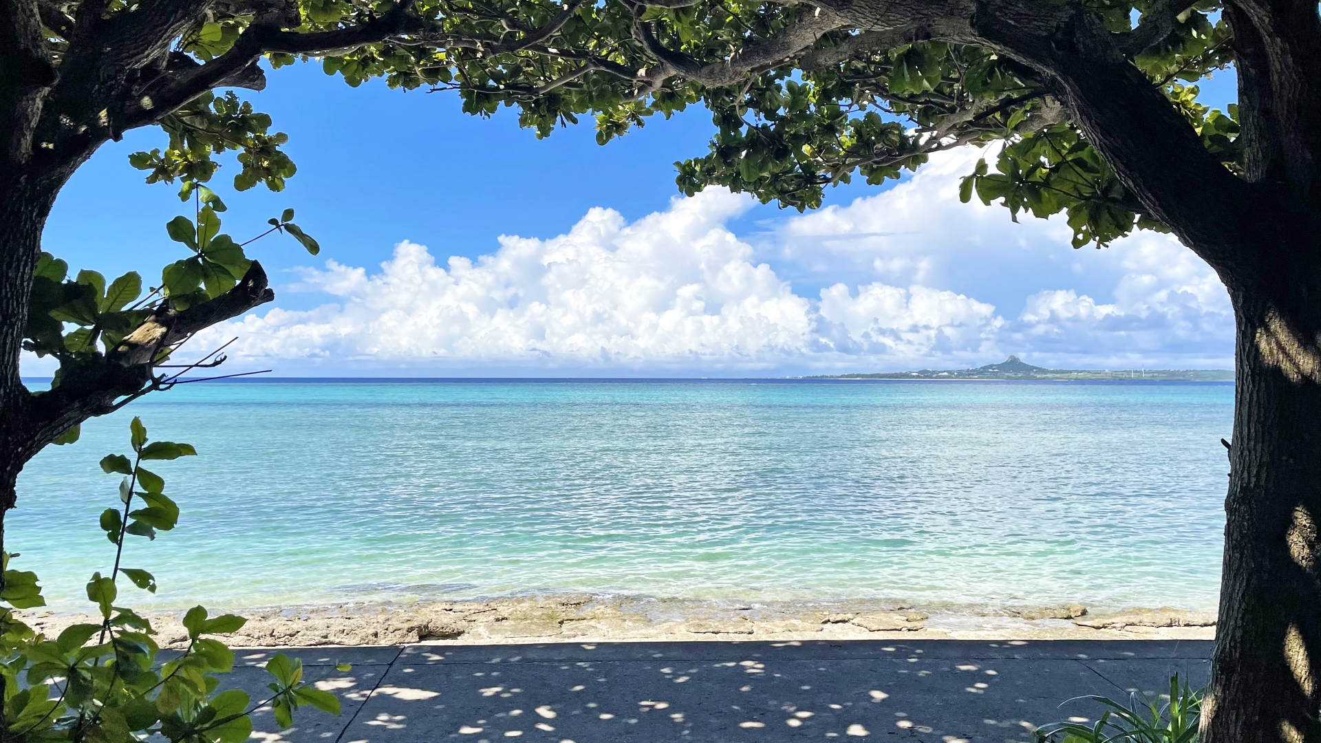 施術コース一覧